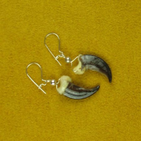 Alaskan Wolf Claw and Sterling Silver Earrings