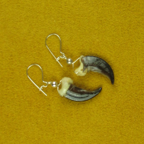 Alaskan Wolf Claw and Sterling Silver Earrings