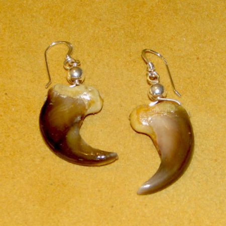 Bear Claw Earrings