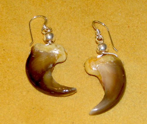 Bear Claw Earrings